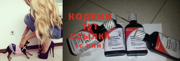 apvp Абаза