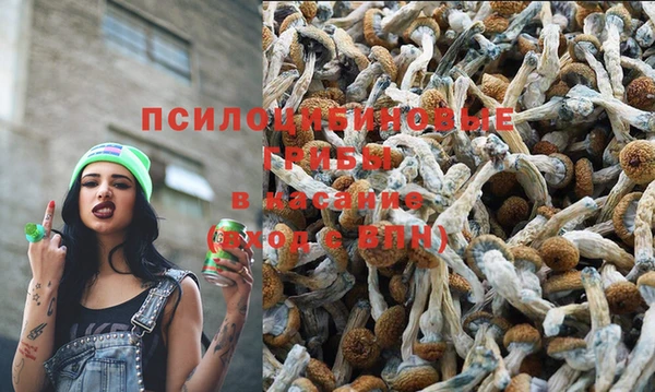 гашиш Алексин