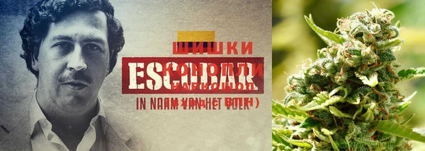 синтетический гашиш Алексеевка