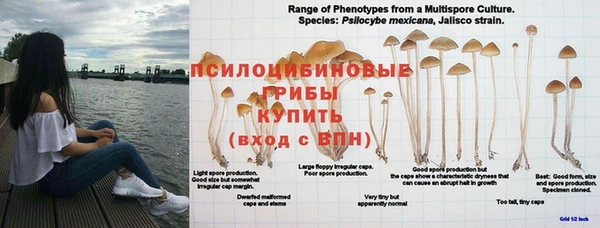 синтетический гашиш Алексеевка