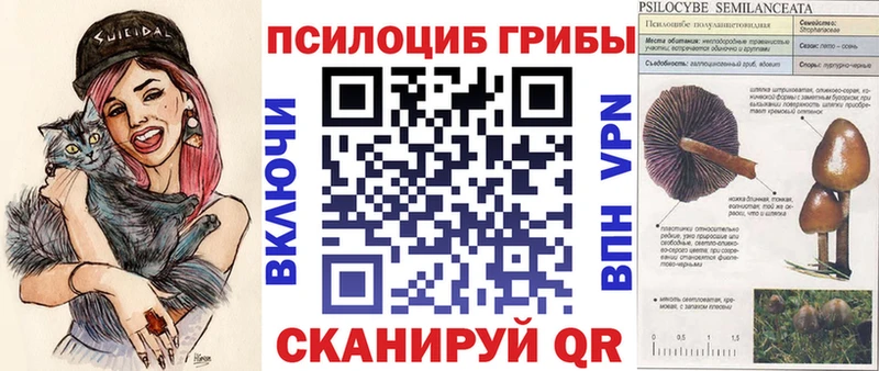 продажа наркотиков  Саянск  Псилоцибиновые грибы ЛСД 