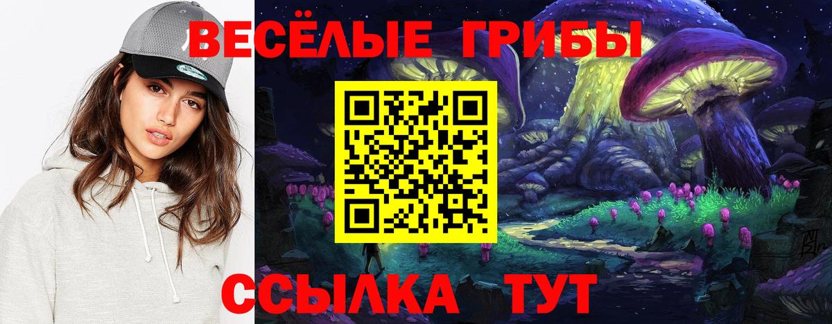 наркошоп  Вход с VPN  Саянск  Псилоцибиновые грибы Cubensis 